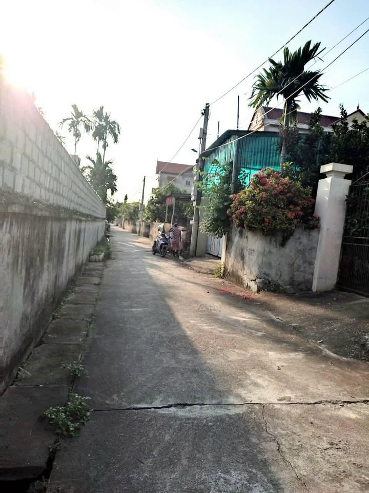 Đất nền Chương Dương, Thường Tín 87m² giá 4.1 tỷ - Đầu tư sinh lời hấp dẫn!