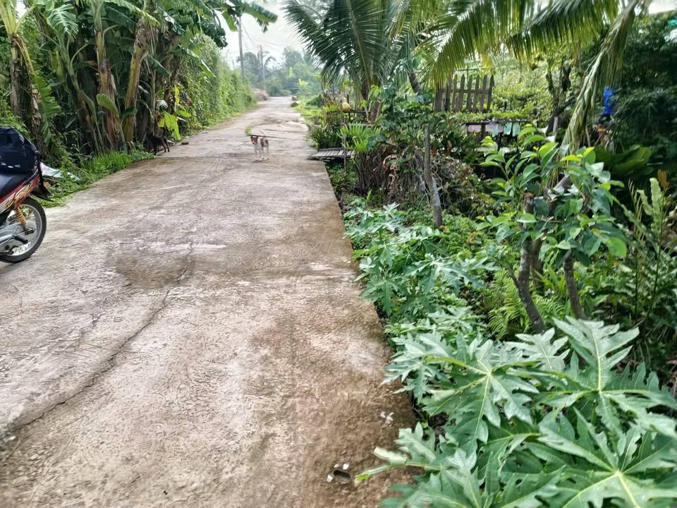 Đất nền biệt thự xã Long Hồ 220m² giá 1 tỷ - Đầu tư sinh lời tiềm năng!