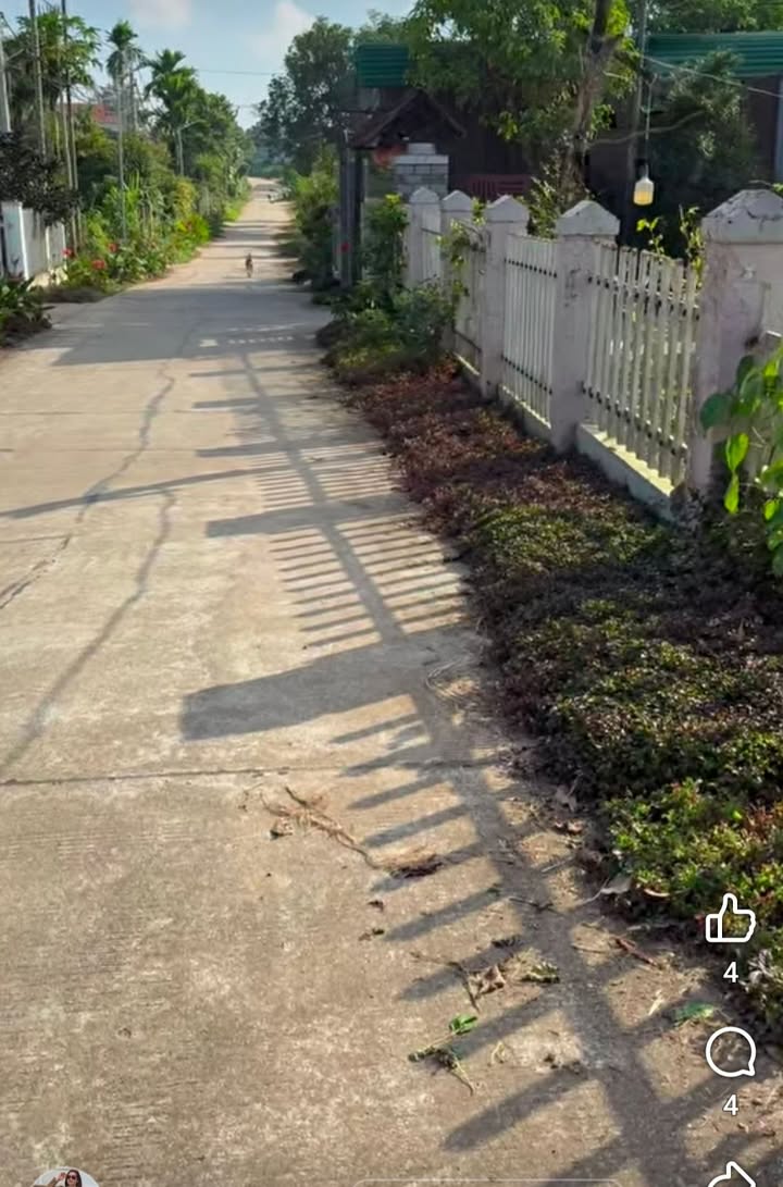 Farm tại xã Đắk Sôr, Krông Nô 2,6ha giá 980 triệu - Kinh doanh cà phê sinh lời!