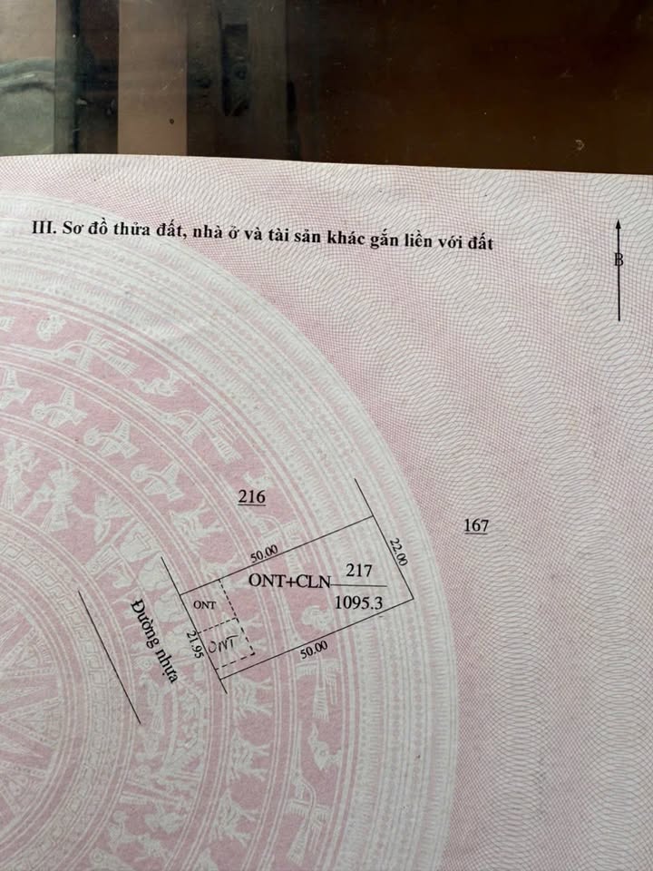 Đất nền Quảng Tân, Tuy Đức 1100m² - Cơ hội đầu tư tuyệt vời!