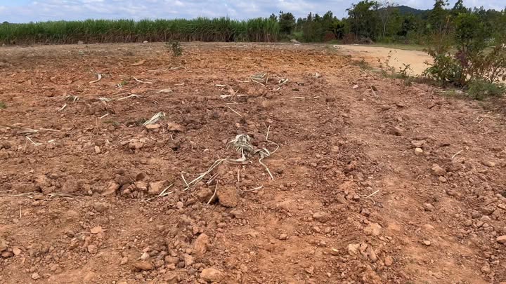 Đất nông nghiệp 490ha tại Phú Thiện, Gia Lai - Pháp lý rõ ràng, giá cả thỏa thuận!