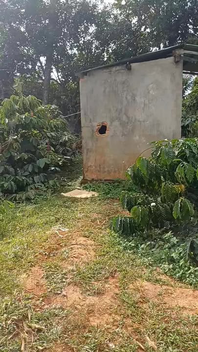 Đất nền Cư M'gar 1ha giá 5 tỷ - Mặt tiền đường bê tông thuận lợi!