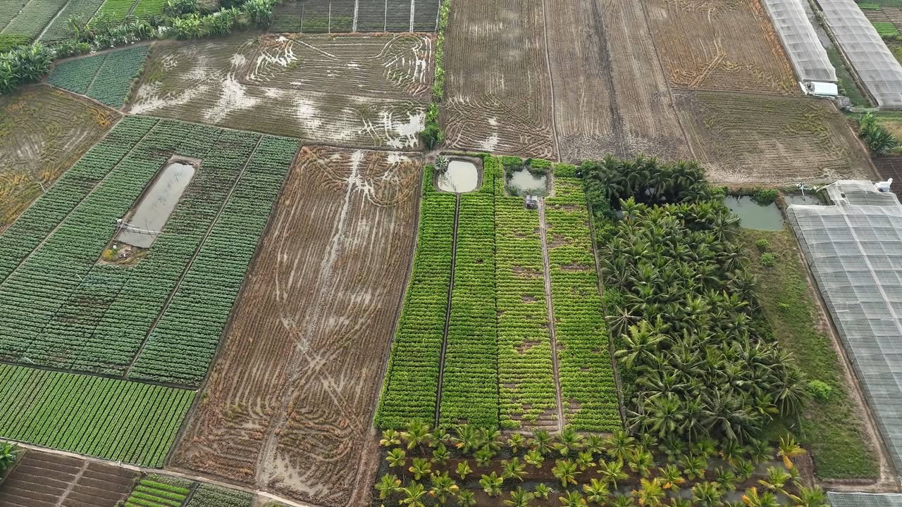 Đất trồng lúa nước 2900m² tại ấp Gò Lức, Tiền Giang chỉ 870 triệu - Cơ hội đầu tư hấp dẫn!