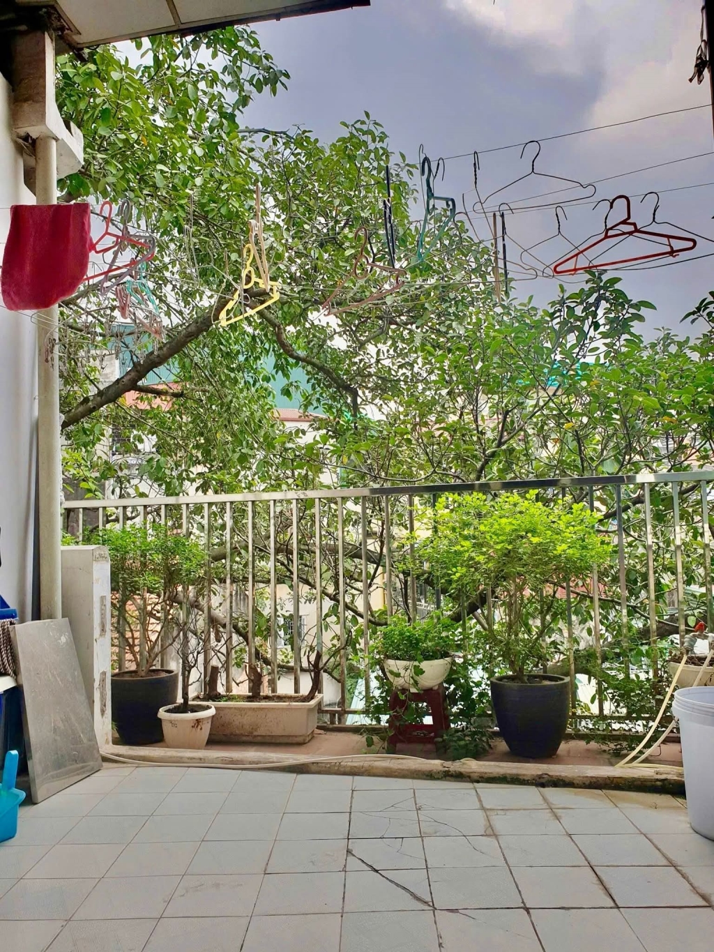 Nhà Mặt Phố Nguyễn Siêu, Ngõ Gạch | Lô Góc 32m² Giá 37 Tỷ - Kinh Doanh Đỉnh Cao!