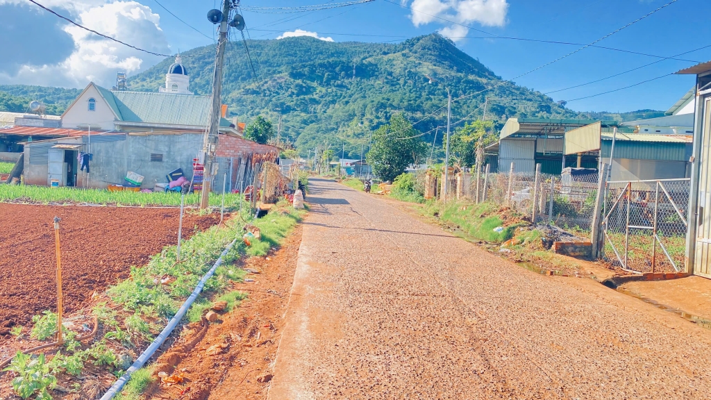 Đất hẻm 1 sào Hiệp An, Đức Trọng, Lâm Đồng 1000m² giá 3.5 tỷ - Cơ hội đầu tư tuyệt vời!