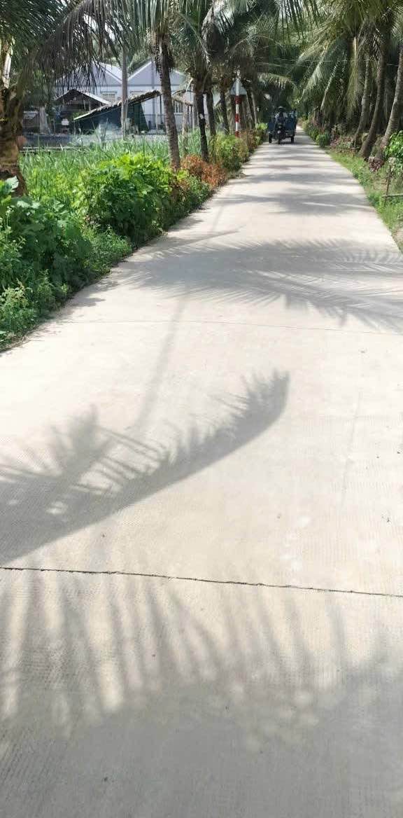 Đất nền xã Châu Hưng, Vĩnh Long 250m² giá chỉ 300 triệu - Cơ hội đầu tư tuyệt vời!