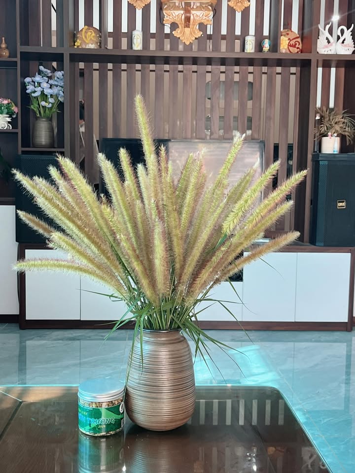 Đất thổ cư 3000m² Mường Sang 1 tỷ - Vị trí đắc địa gần trung tâm