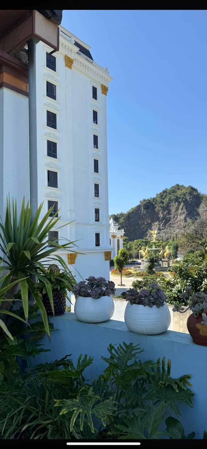 Đất Nông Trường Mộc Châu 140m² giá 2 tỷ - Vị trí trung tâm, phong thủy đẹp!