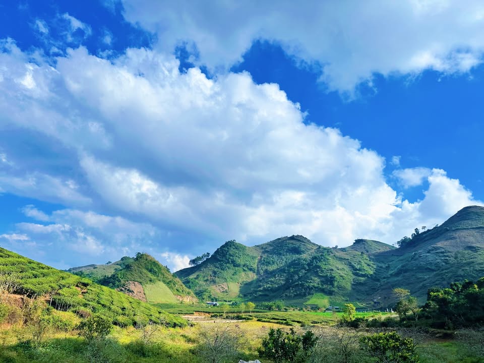 Đất nền Vân Sơn Mộc Châu 6000m² giá chỉ 1,x triệu/m² - Cơ hội đầu tư hấp dẫn!