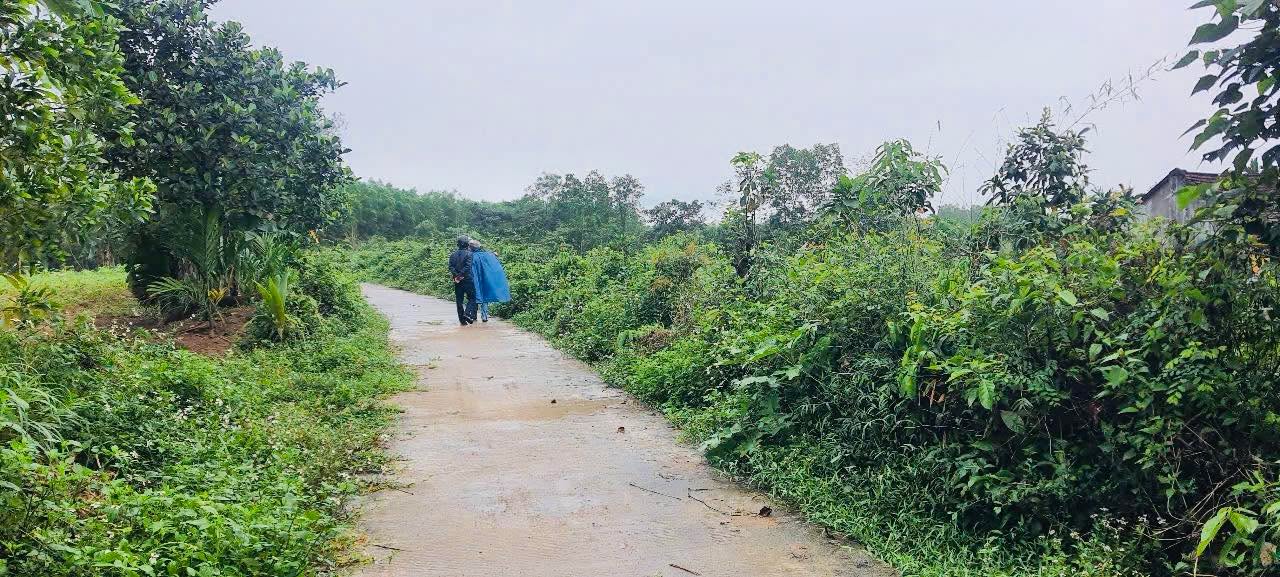 Đất vườn Nghĩa Thắng, Tư Nghĩa 3960m² giá 1 tỷ - Cơ hội đầu tư tuyệt vời!