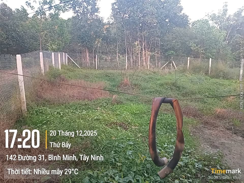 Đất nền Bàu Lùn, Bình Minh, Tây Ninh 500m² giá chỉ 399 triệu - Cơ hội đầu tư hấp dẫn!