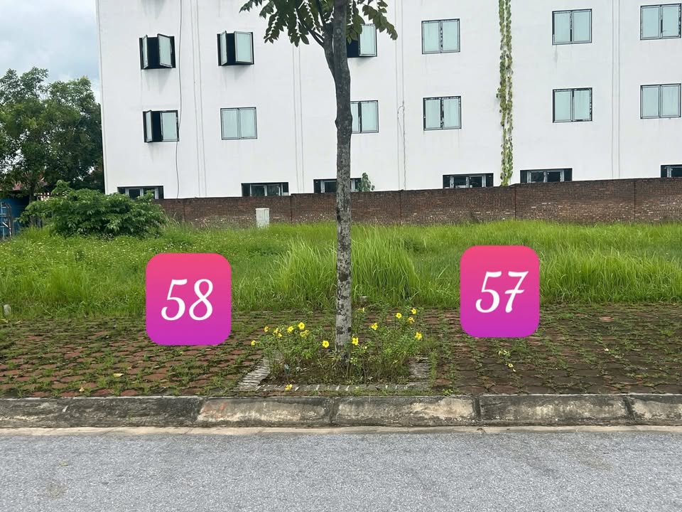 Đất nền TNR Stars Thắng City Hiệp Hòa 94.6m² - Cơ hội đầu tư tuyệt vời!