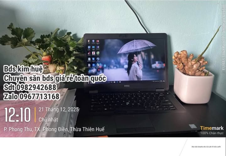 Đất biển Triệu Cơ 150m² chỉ 265 triệu - Cơ hội đầu tư không thể bỏ lỡ!