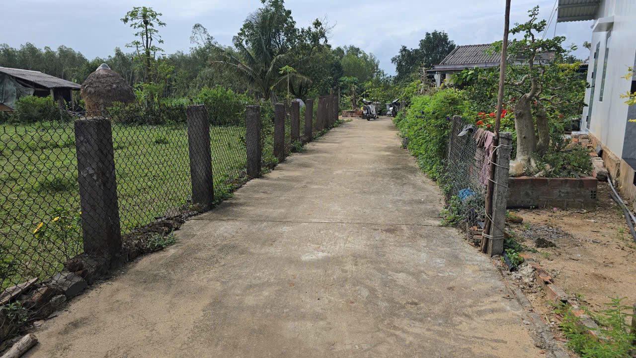 Đất vườn Vạn Tường, Bình Sơn, Quảng Ngãi 300m² giá 700 triệu - Sổ hồng chính chủ!