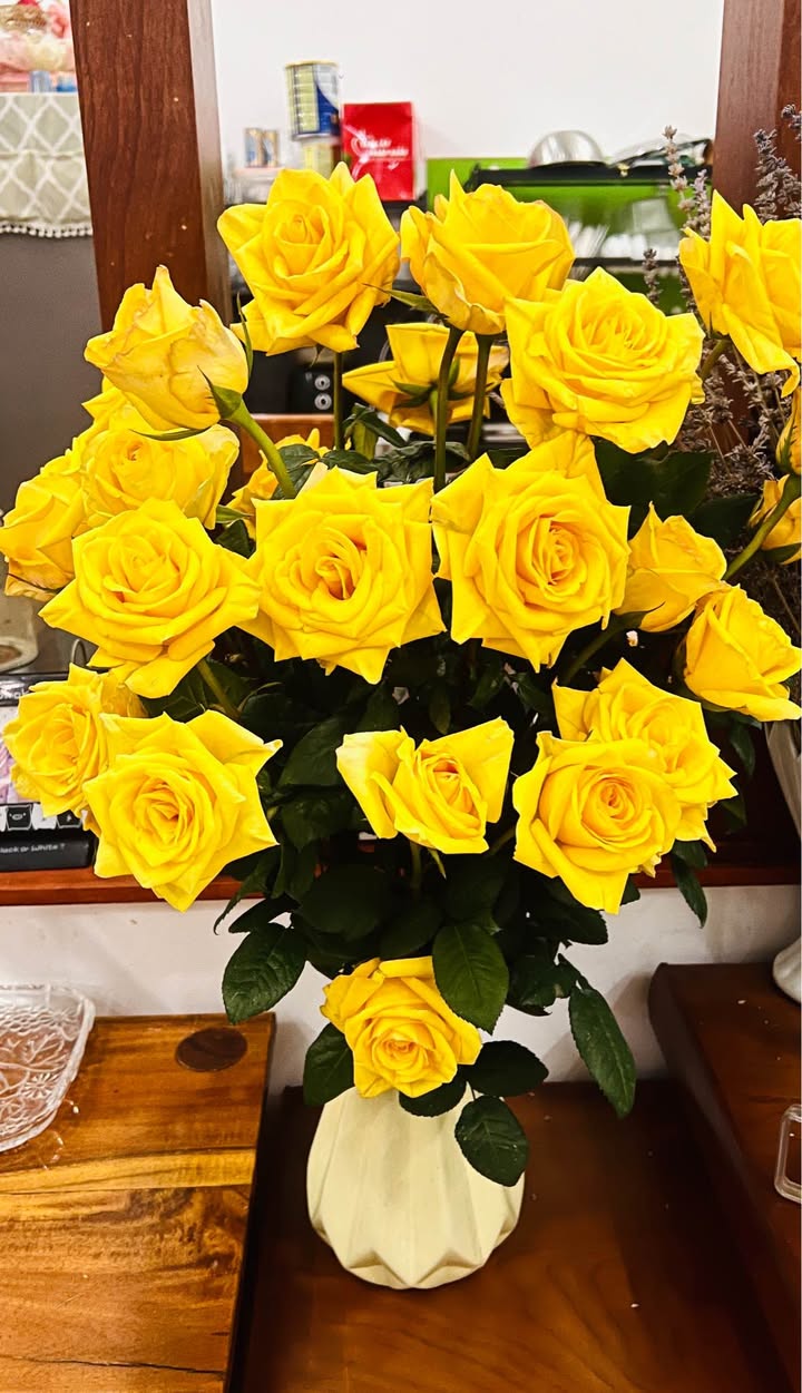 Đất mặt đường Quốc lộ 14B, xã Hòa Bình, 500m² - Cơ hội đầu tư tuyệt vời!