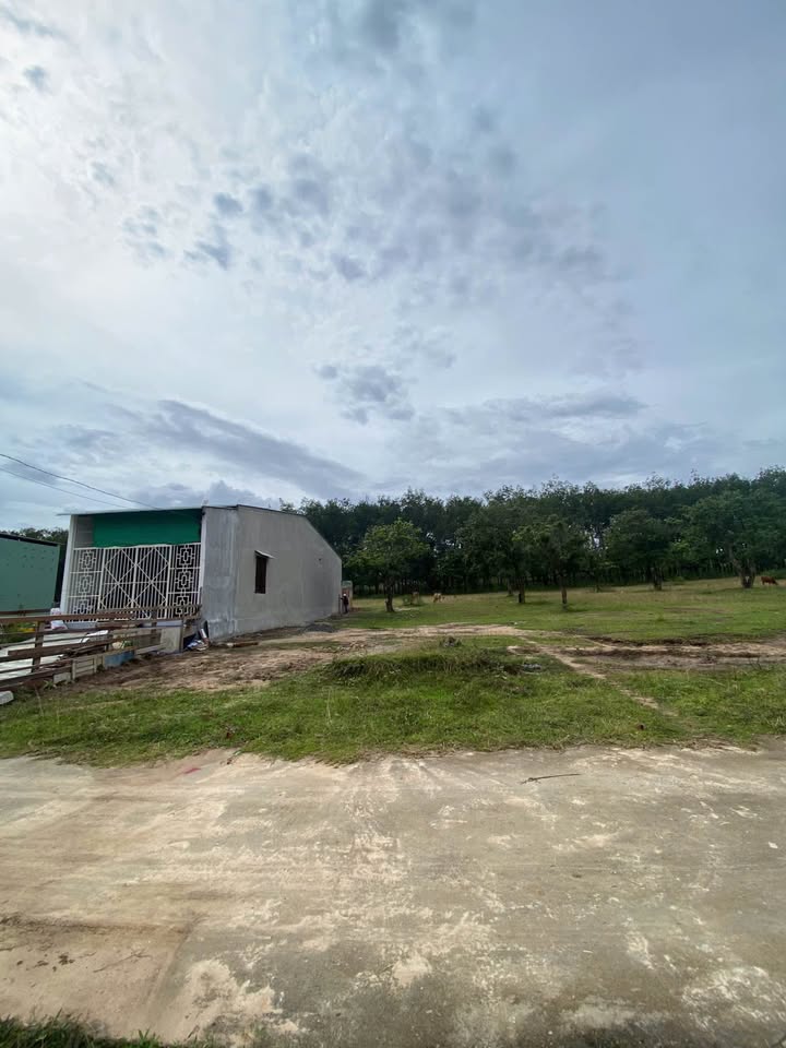 Đất thổ cư Đăk Blà, Kon Tum 175m² - Gần khu dân cư, view suối thoáng mát!