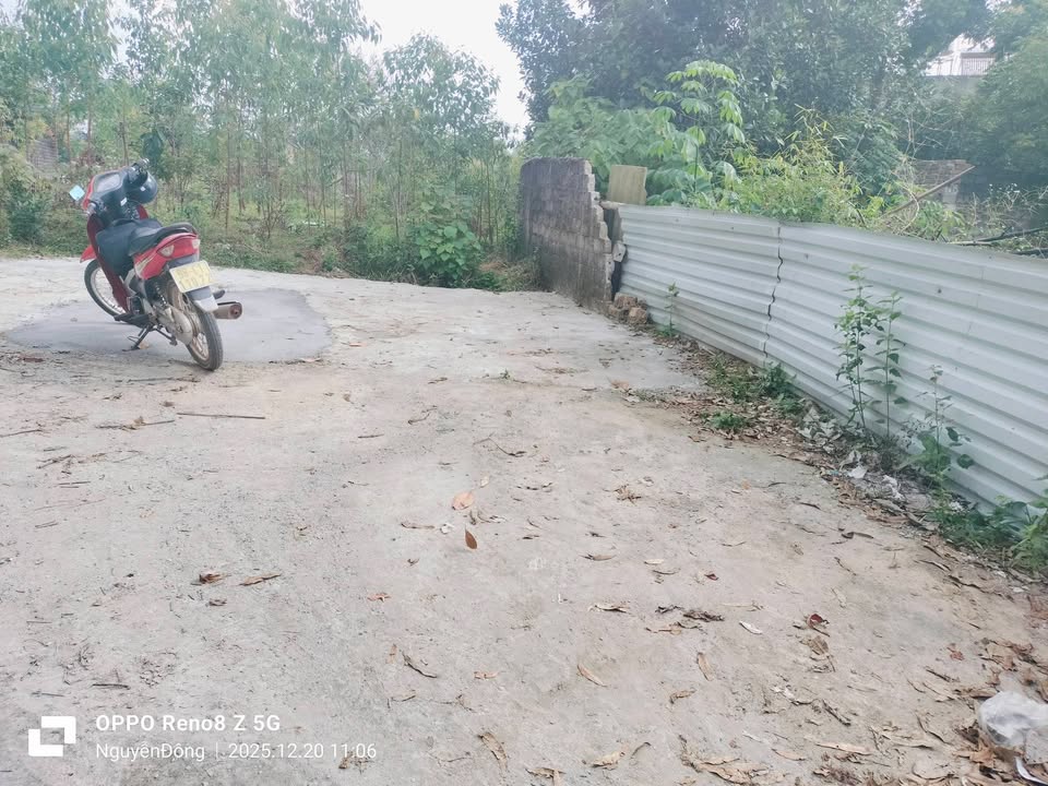 Đất thổ cư 100m² tại TDP Hồi, Yên Thế, Bắc Giang - Giá chỉ 8xx triệu!