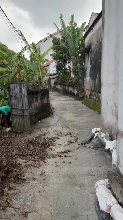 Đất nền Tống Phan, Phù Cừ 95m² giá 900 triệu - Chính chủ cần bán gấp!