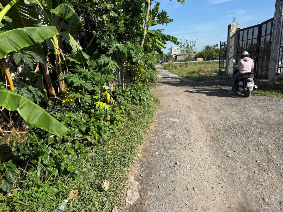 Đất thổ cư Mỹ Hạnh Bắc 140m² giá 1.4 tỷ - Mặt tiền đường đá xanh gần trường học