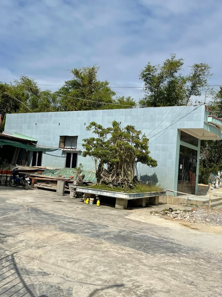 Nhà cấp 4 tại Nhơn Bình, Quy Nhơn 100m² giá chỉ 1 tỷ - Cơ hội đầu tư hấp dẫn!