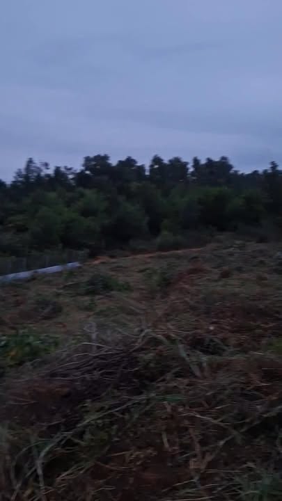 Đất Farm 10.000m² tại Sao Đỏ, Chí Linh - Tiềm năng đầu tư lớn!