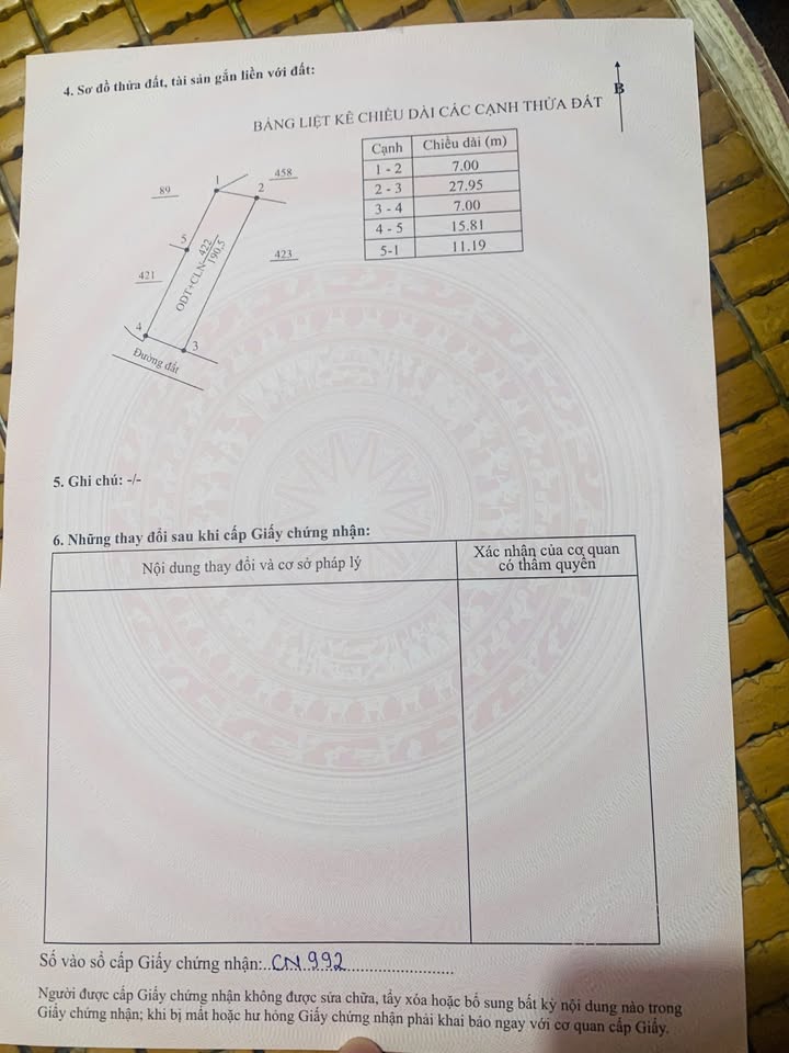 Đất nền chính chủ tại Cộng Hòa, Chí Linh 196m² giá 1 tỷ - Đầu tư sinh lời ngay!