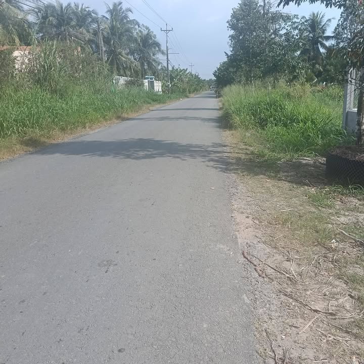 Đất vườn dừa An Ngãi Tây, Ba Tri 7040m² giá 1 tỷ - Cơ hội đầu tư tuyệt vời!