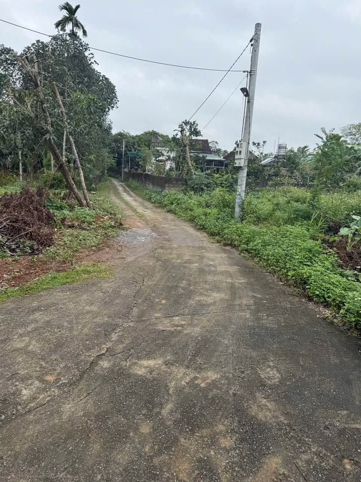 Đất Nền Quỳnh Lưu Nho Quan 329m² giá chỉ 700 triệu - Cơ hội đầu tư tuyệt vời!