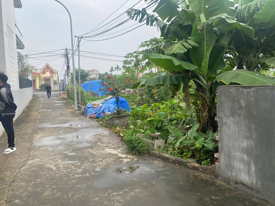 Đất nền Tân Dân, An Lão 84m² - Mặt tiền rộng, dân cư đông đúc!