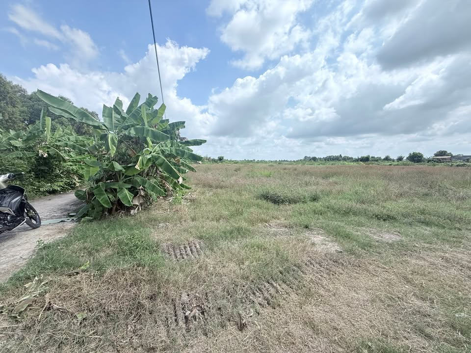 Đất vườn Lý Văn Lâm, Cà Mau 500m² giá 490 triệu - Đầu tư sinh lời ngay!