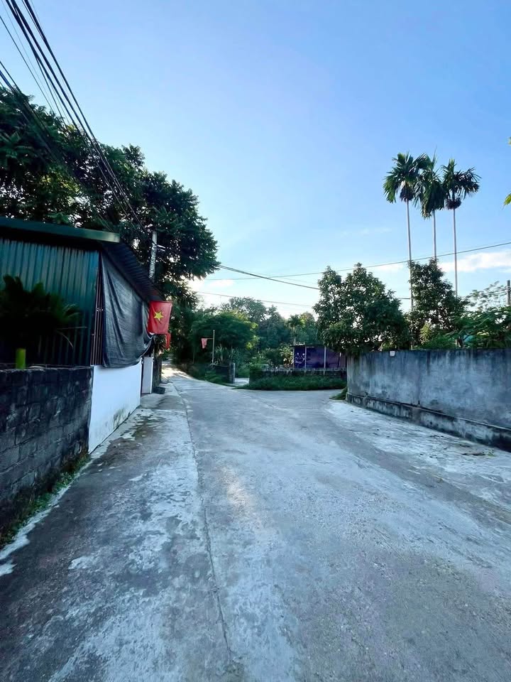 Đất nền Kim Phú Tuyên Quang 50m² giá 1.1 tỷ - Bán gấp, vị trí đẹp gần chợ