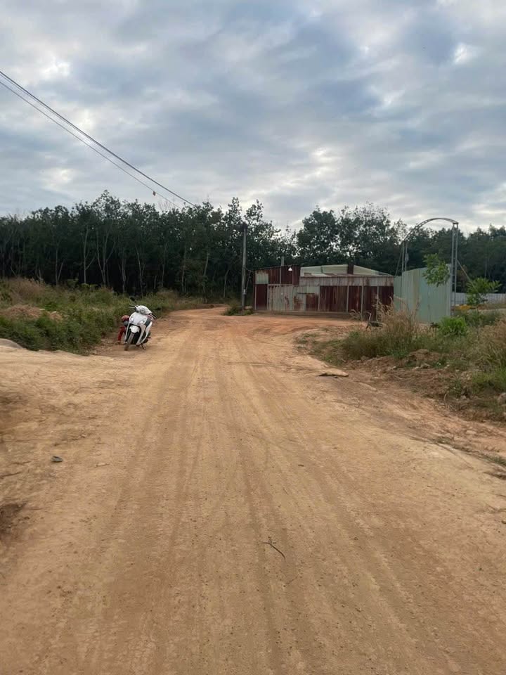 Đất thổ cư 210m² tại Khu phố 5, Phường Tân Đồng, Đồng Xoài - Giá chỉ 600 triệu!