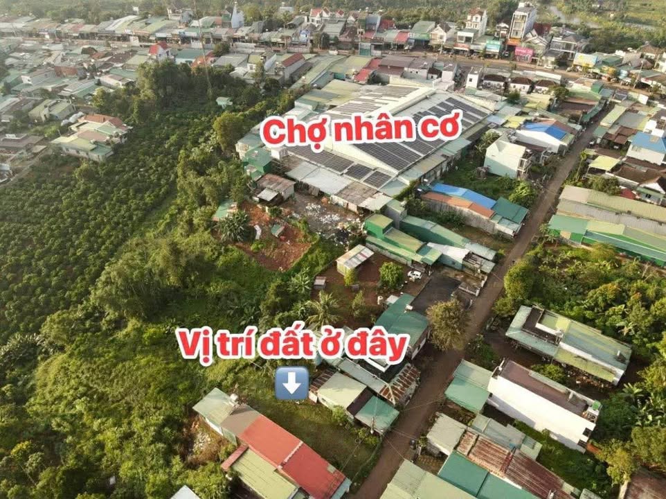 Đất chính chủ Nhân Cơ 270m² giá 1.32 tỷ - Tiềm năng kinh doanh lớn!