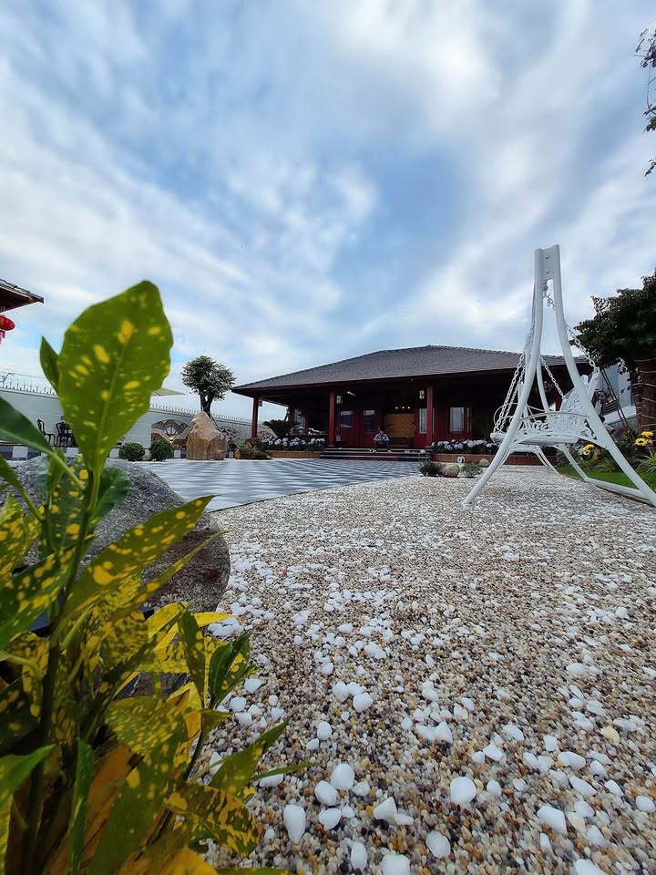 Nhà vườn 980m² tại Cần Đước, Long An - Giá chỉ 12.9 tỷ, chính chủ!