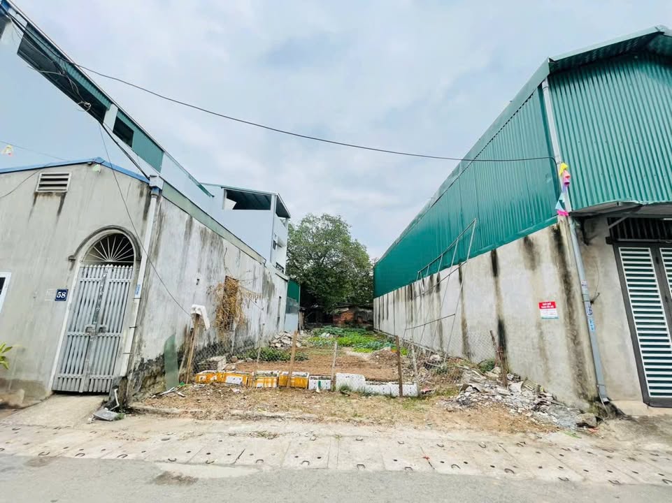 Đất mặt phố Vĩnh Điều, Thịnh Lang 167,4m² giá chỉ 3,3 tỷ - Đầu tư sinh lời!