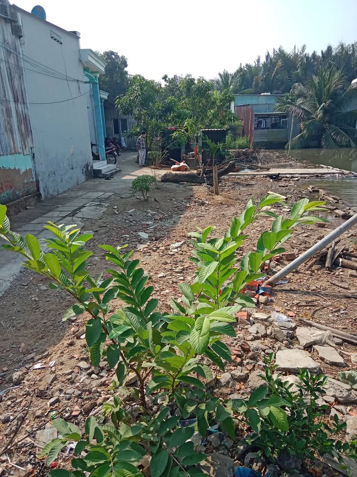 Đất nền 100m² tại ấp 2/5 Long Hậu - Giá chỉ 800 triệu, sổ đỏ chính chủ!