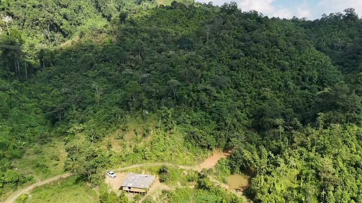 Đất trang trại Đổng Xá Na Rì 22ha - Pháp lý rõ ràng, sẵn sàng đầu tư!