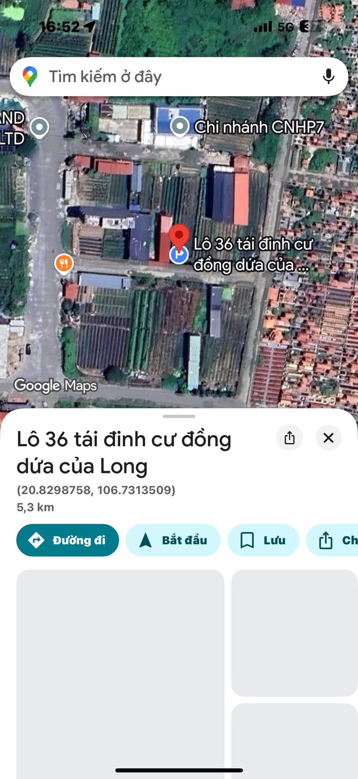 Đất nền tái định cư Đường Đồng Dứa 100m² giá chỉ 3.1 tỷ - Đầu tư sinh lời ngay!
