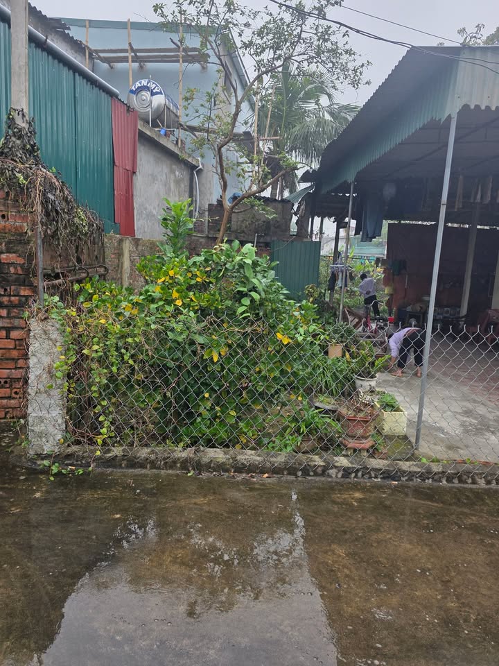 Đất nền xóm 5 Hưng Chính 100m² giá thỏa thuận - Gần khu đấu giá chỉ 300m!