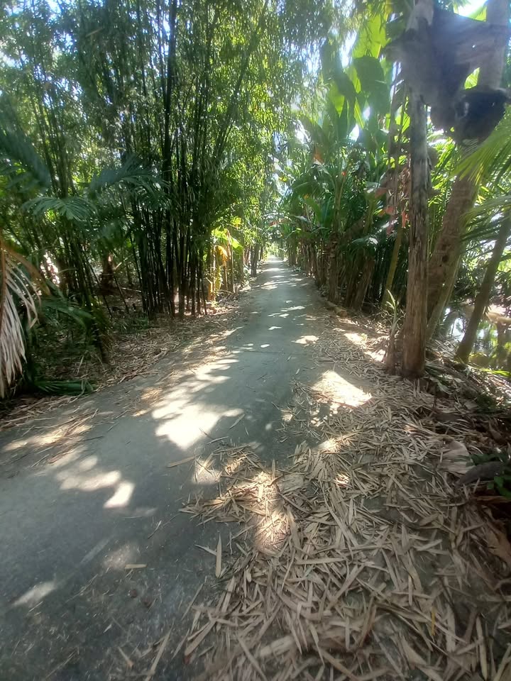 Đất nền mặt tiền 3m xã Long Đức, 540m² - Cơ hội đầu tư sinh lời!