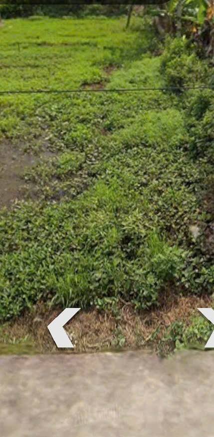 Đất thổ cư 453m² Nghĩa Tân, Nghĩa Hưng - Giá thỏa thuận, vị trí đẹp!