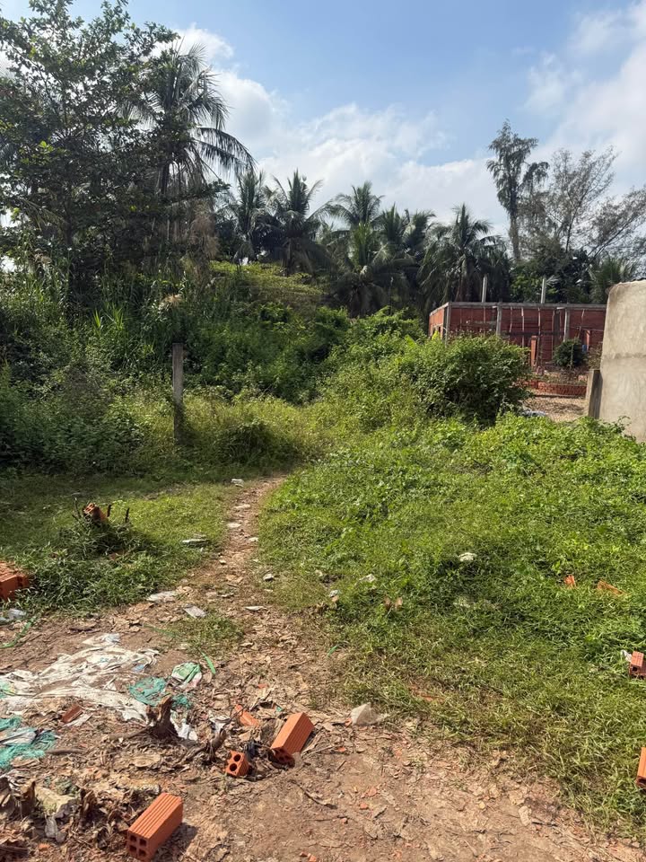 Đất thổ cư mặt tiền Trương Văn Kỉnh, Vĩnh Long 245m² - Giá chỉ 2 tỷ thương lượng!