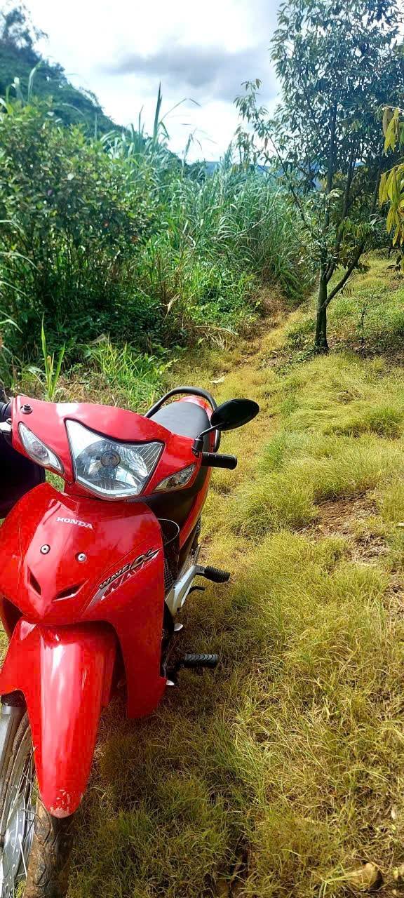 Đất nền 862m² ở Đại Lào, Bảo Lộc - Giá chỉ 450 triệu VND - Tiềm năng nghỉ dưỡng lớn!