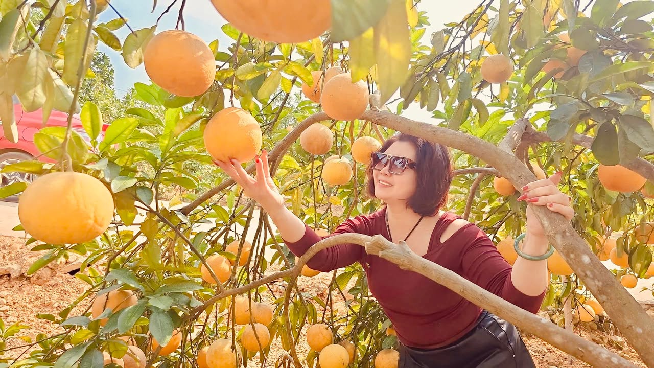 Đất thổ cư 104m² tại Thôn Vân Xuyên, Bắc Ninh chỉ 700 triệu - Sẵn sàng đầu tư!