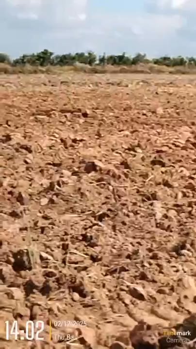 Đất cho thuê 1ha tại Ea Bung, Ea Súp - Giá chỉ 7 triệu/tháng!