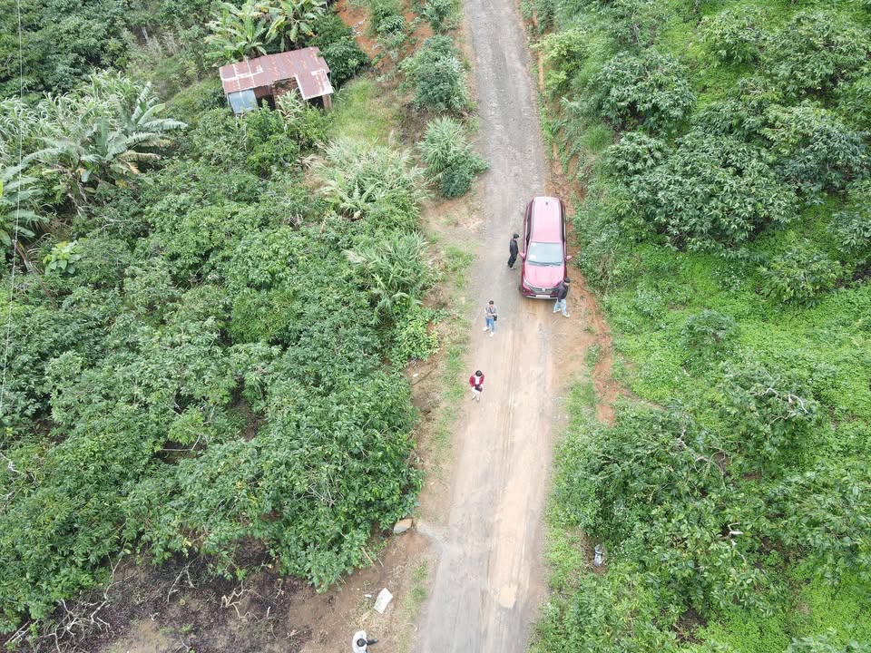 Đất vườn Gung Ré Di Linh 7000m² giá 2.8 tỷ - Sổ đỏ chính chủ, đầy tiềm năng!