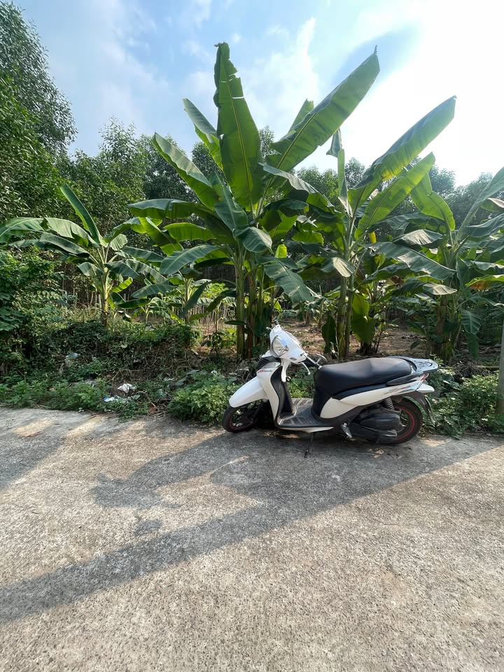 Đất nền Long Tân, Nhơn Trạch 83m² giá 1.3 tỷ - Cơ hội đầu tư tuyệt vời!