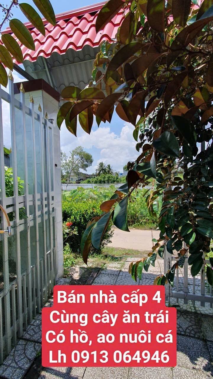 Bán nhà cấp 4 tại xã An Xuyên, Cà Mau, diện tích 859m² - Khu vườn cây ăn trái lý tưởng!