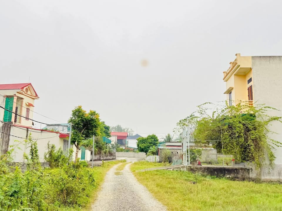 Lô đất Nho Quan Ninh Bình 100m² - Tiềm năng đầu tư cao!