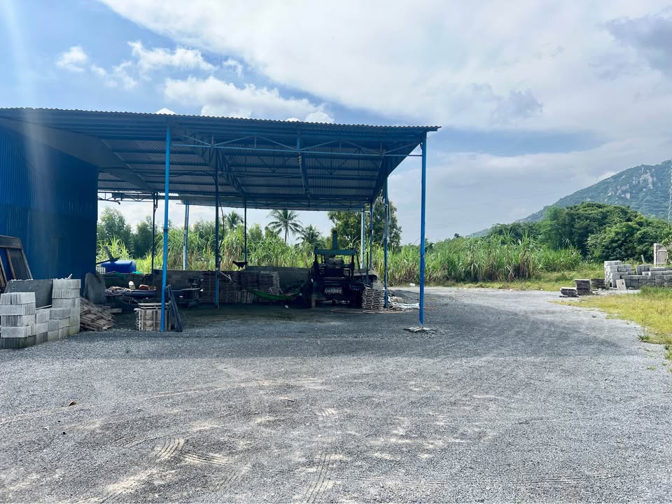 Đất nền Cam Phúc Bắc 3100m² giá 4.6 tỷ - Đầu tư sinh lời ngay!